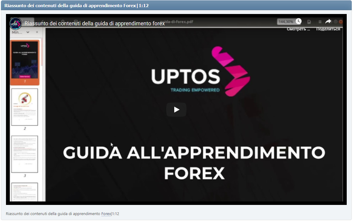 Riassunto dei contenuti della guida di apprendimento Forex|1:12