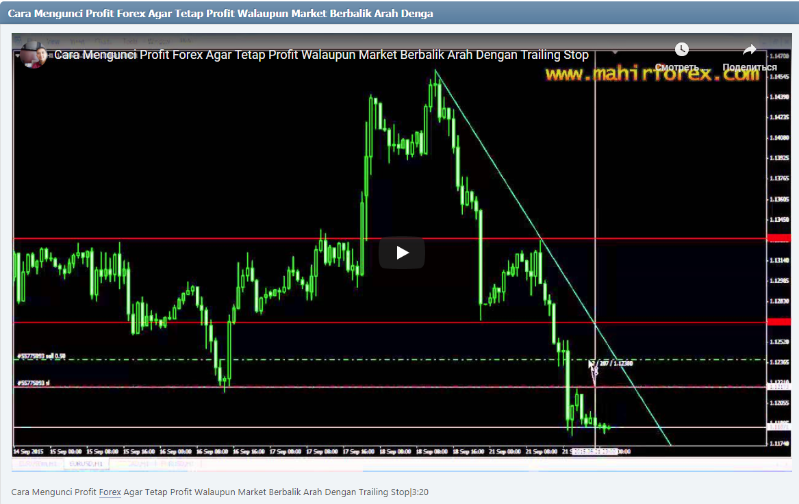 Cara Mengunci Profit Forex Agar Tetap Profit Walaupun Market Berbalik Arah Dengan Trailing Stop|3:20