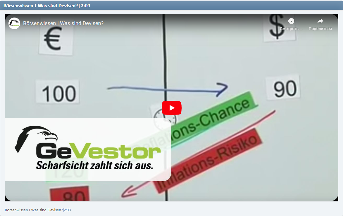 Börsenwissen I Was sind Devisen?|2:03