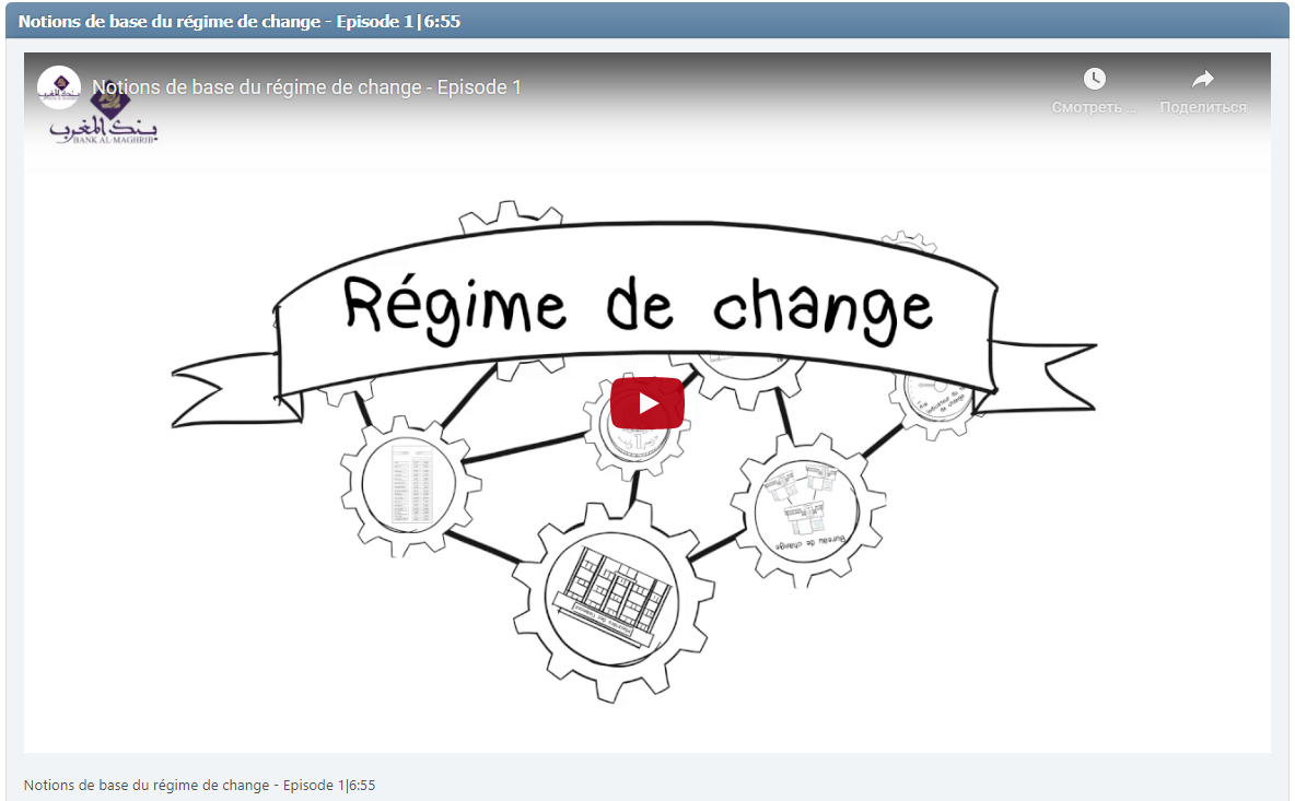 Notions de base du régime de change - Episode 1|6:55