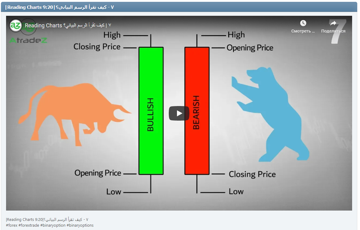 |Reading Charts ٧ - كيف تقرأ الرسم البياني؟|9:20